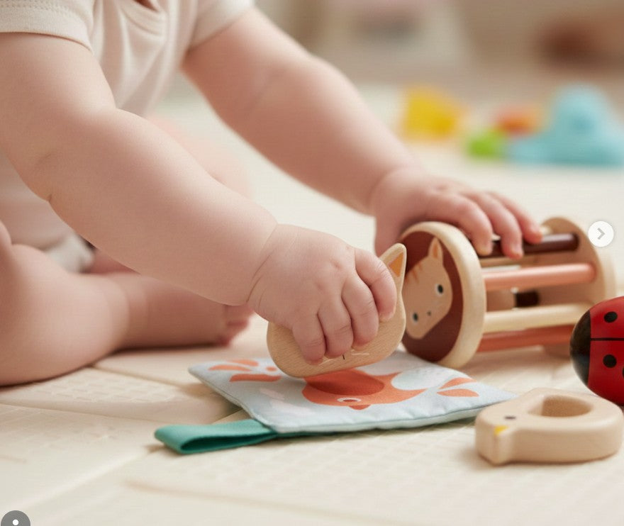 Set de brinquedos - 6 meses