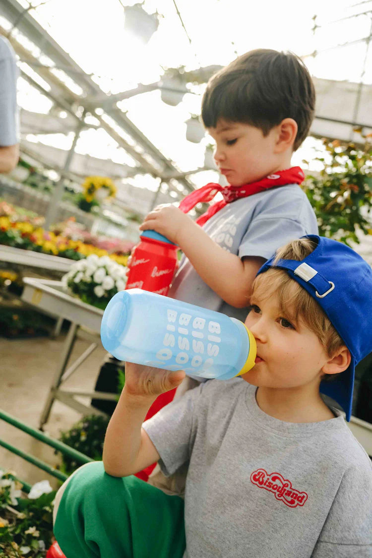 Water bottle (red) 500ml