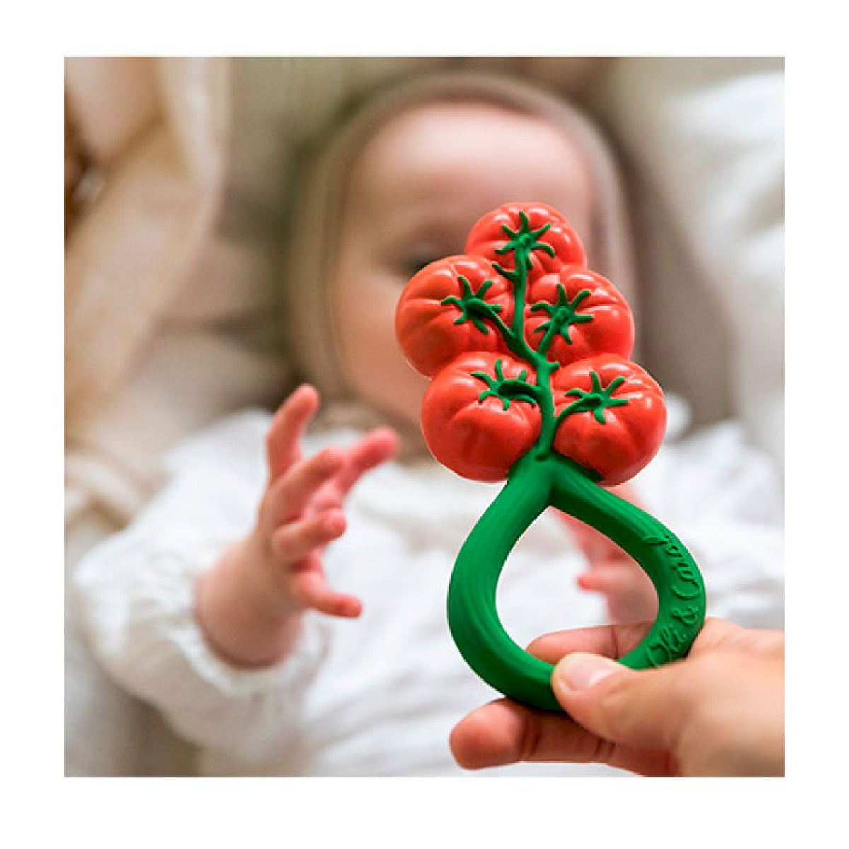 Mordedor e chocalho - Tomate