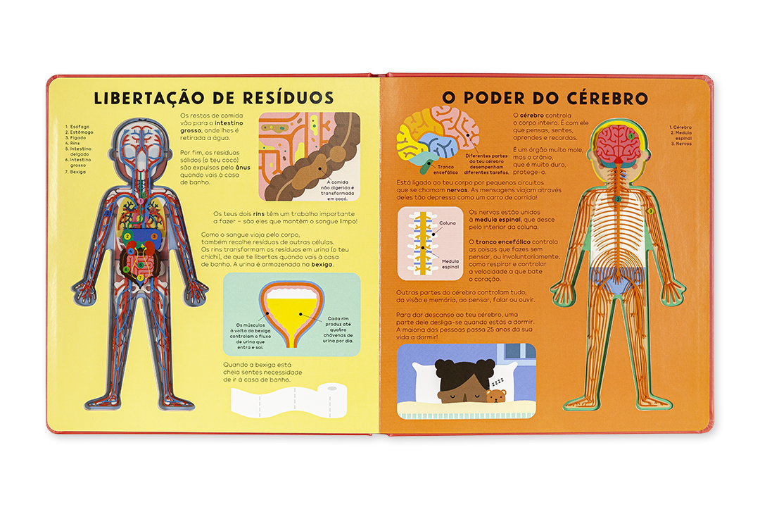 O livro do Corpo Humano