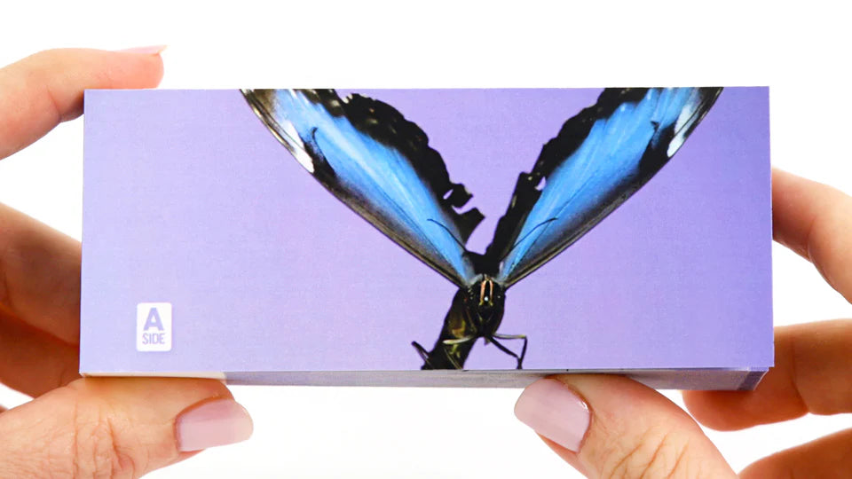 Flipbook - Butterflies