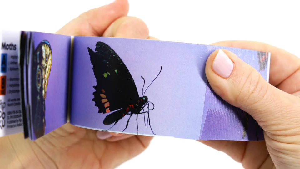 Flipbook - Butterflies