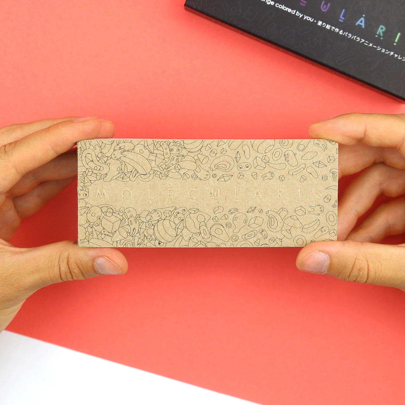 Flipbook interactivo - Molecularis