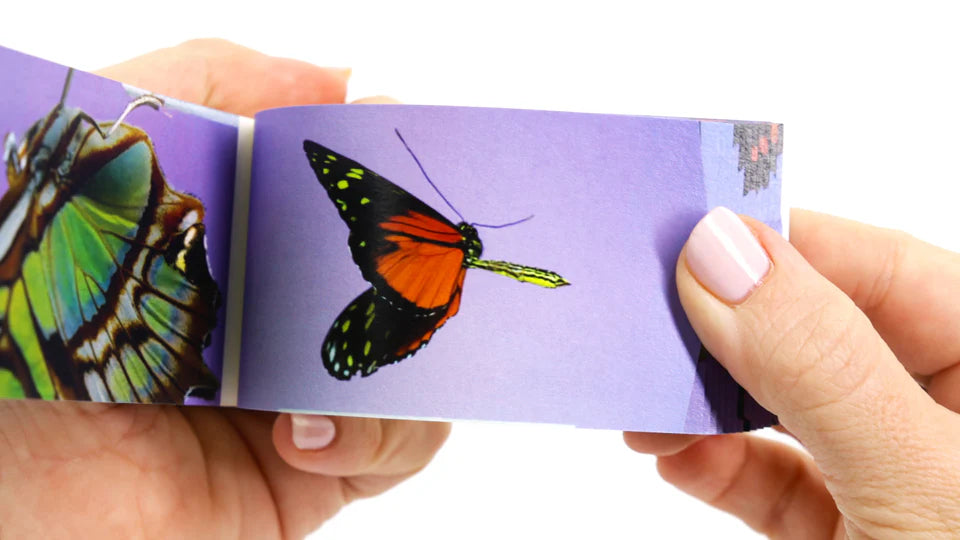 Flipbook - Butterflies
