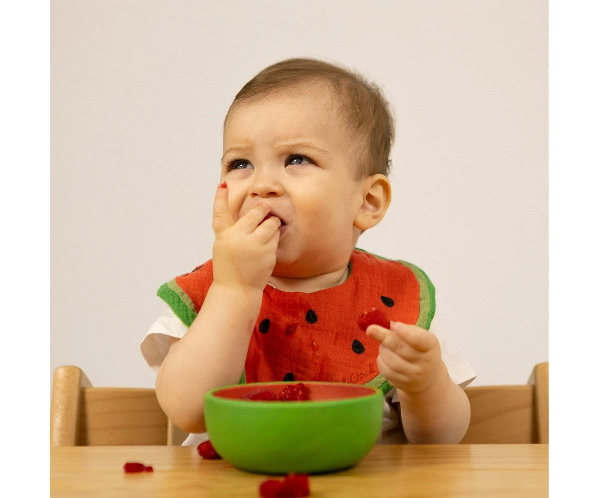 Conjunto tigela e colher - Wally the Watermelon
