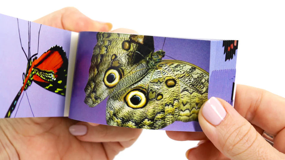 Flipbook - Butterflies
