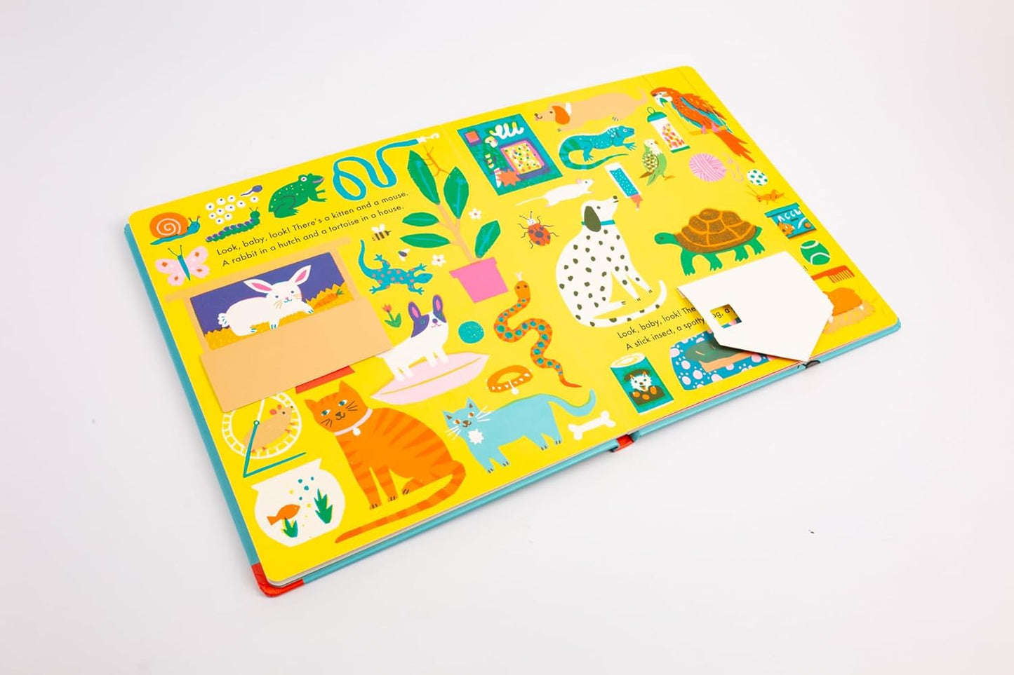 Look, Baby, Look! At Home