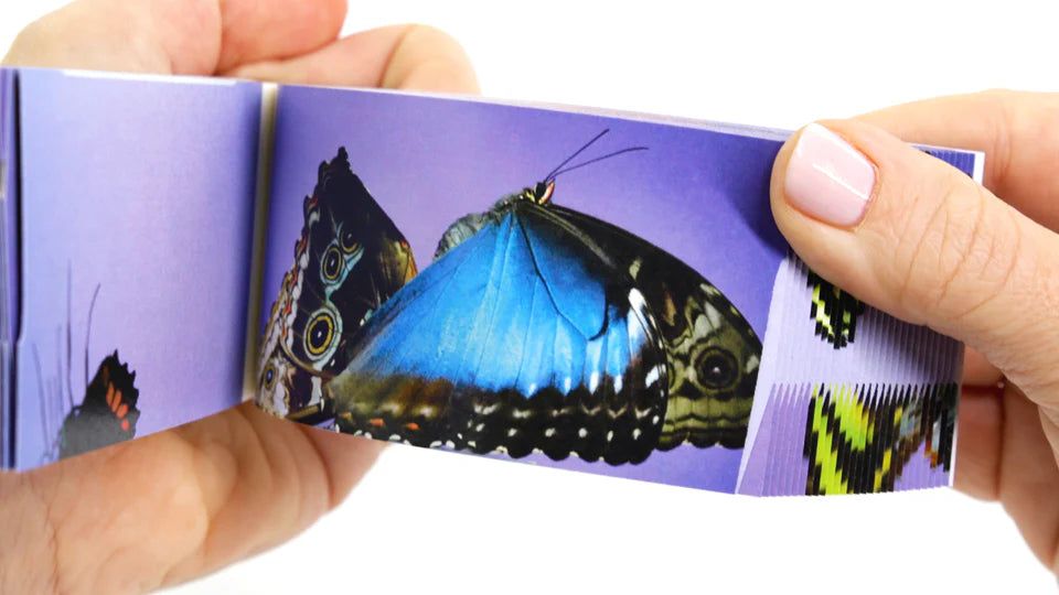 Flipbook - Butterflies