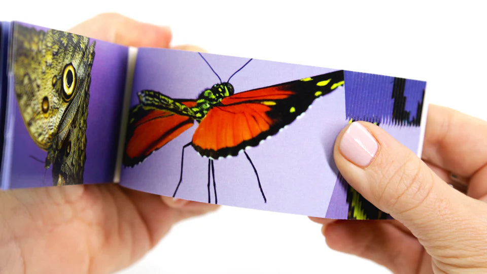 Flipbook - Butterflies