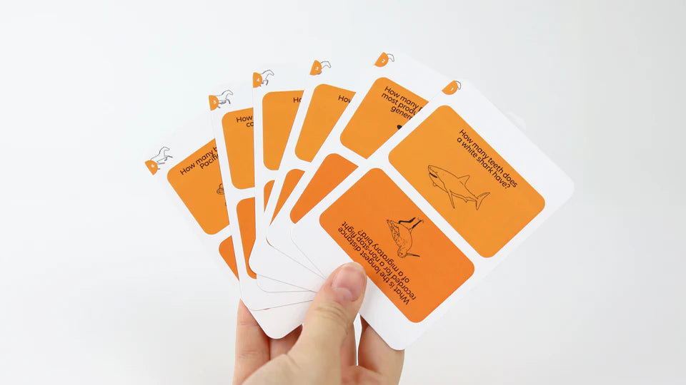 Game 'Do You Realize How Much? The Animal Edition (EN)'