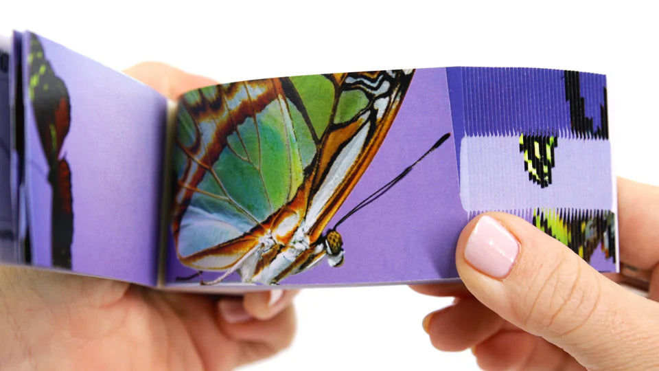 Flipbook - Butterflies
