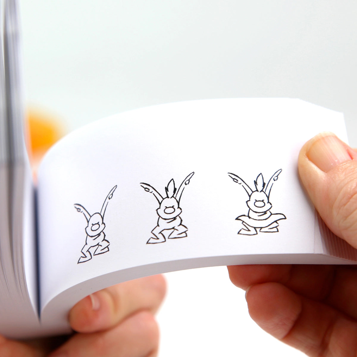 Flipbook duplo - Os 12 princípios básicos da animação