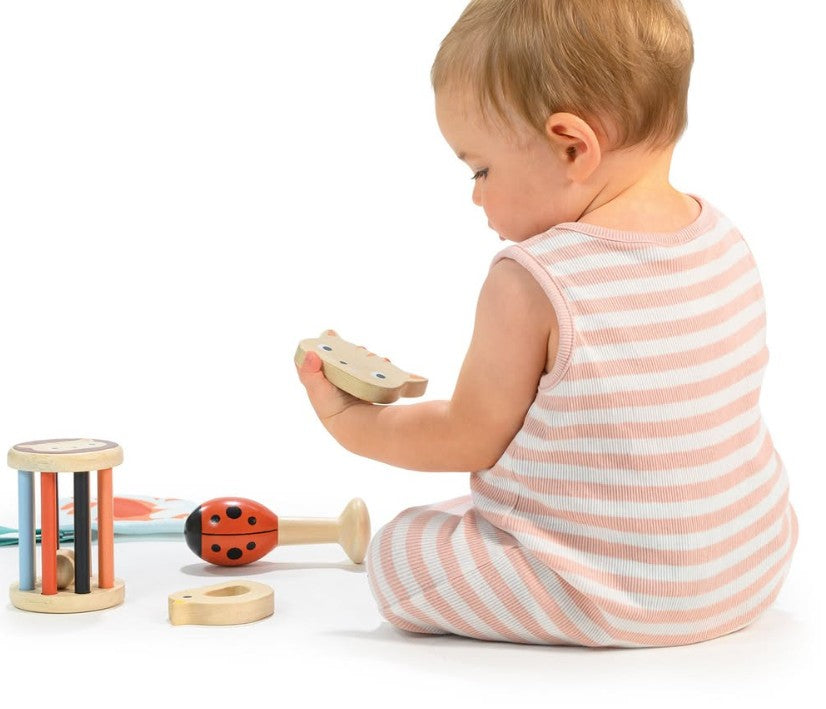 Set de brinquedos - 6 meses