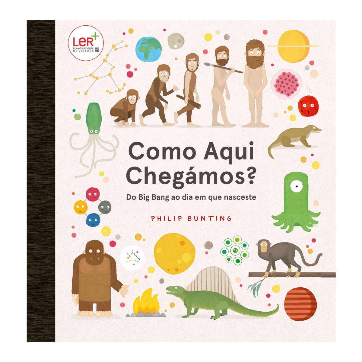 Como Aqui Chegámos? Do Big Bang ao dia em que nasceste