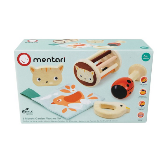 Set de brinquedos - 6 meses