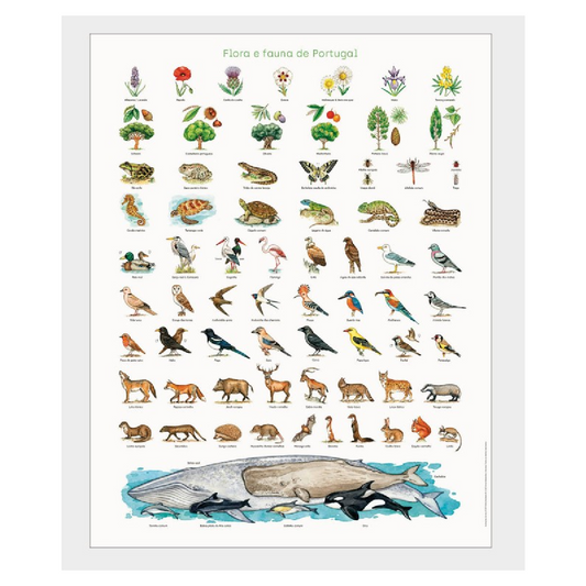 Cartaz Flora e Fauna de Portugal