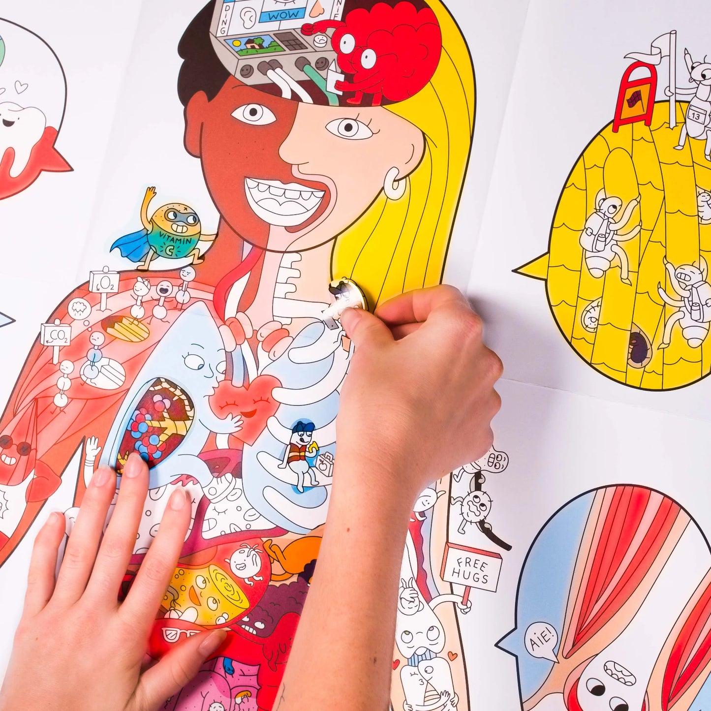 Poster com autocolantes - O meu corpo