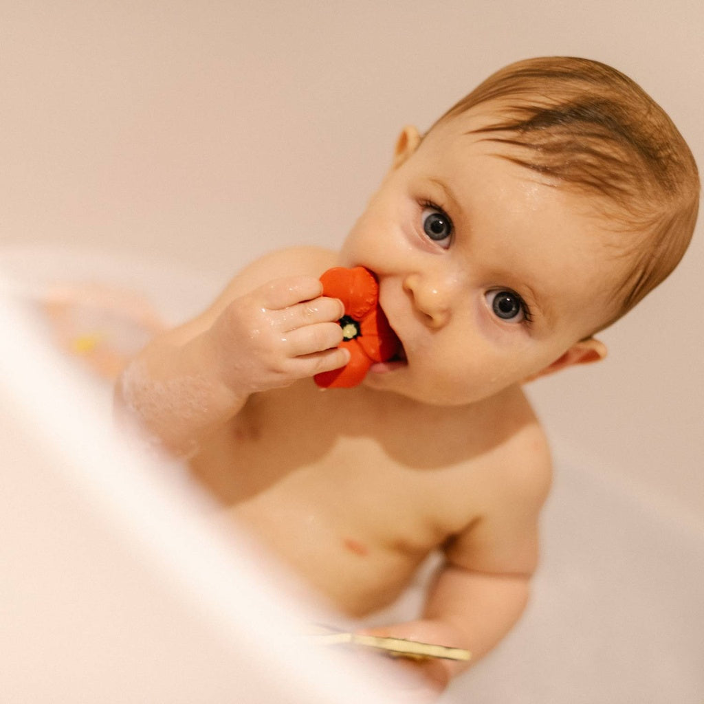 Mini mordedor - Pop the Poppy