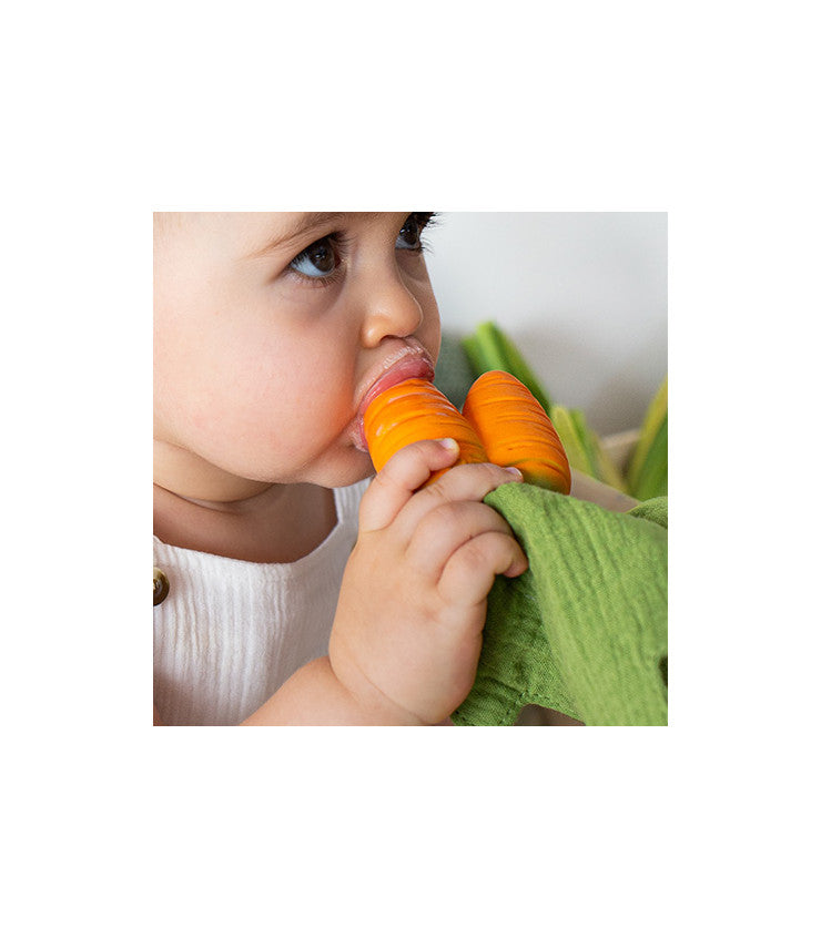 Mordedor e doudou - Cathy the Carrot