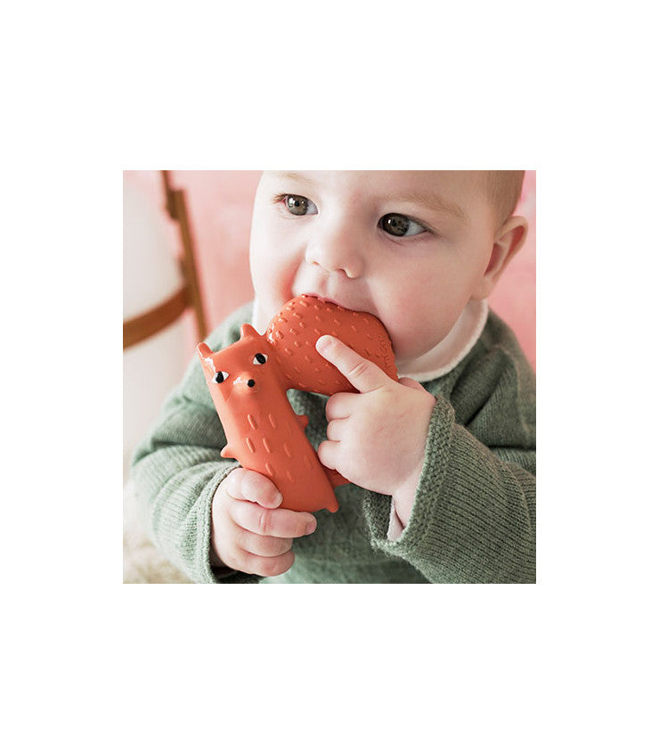 Mordedor - Cyril, a raposa esquilo