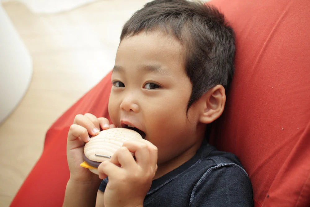 Burger - Musical Instrument Set