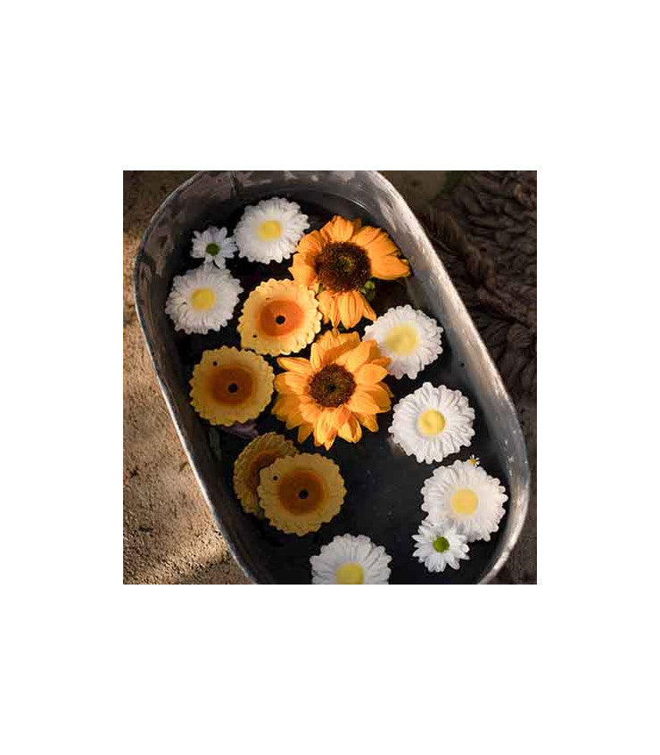 Mordedor - Margarita a Margarida