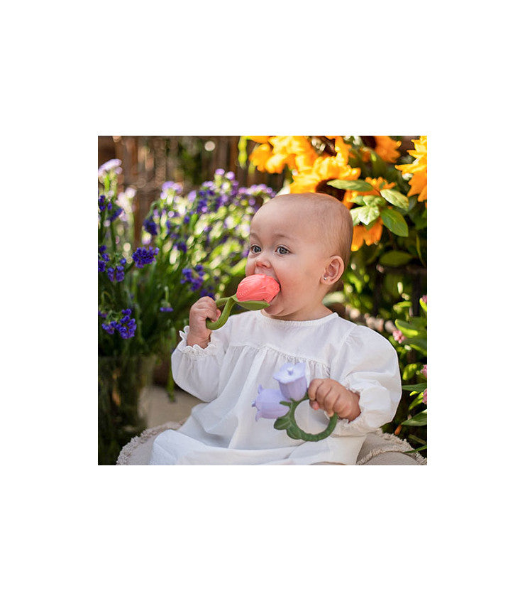 Mordedor - Theo a Tulipa